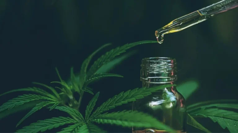 Read more about the article Mi a kannabidiol (CBD)? Teljes útmutató